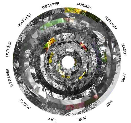 Season Wheel Rio_O